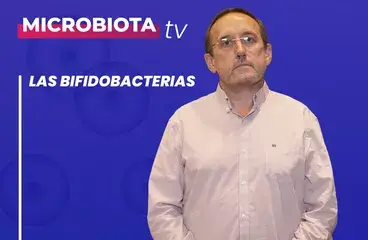 ../las-bifidobacterias