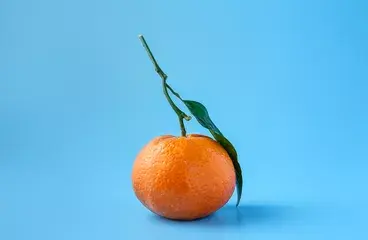 ../propiedades-naranja