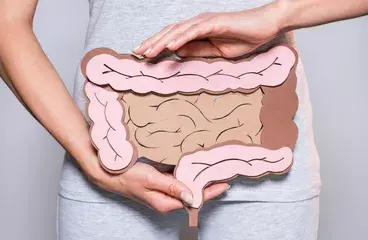 ../megacolon-intestino-grueso-gigante