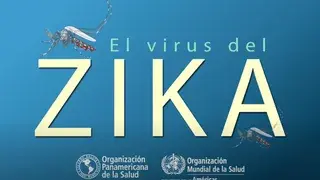 Infografía animada sobre la enfermedad del Virus Zika 