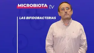Las bifidobacterias