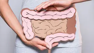 Megacolon: intestino grueso gigante