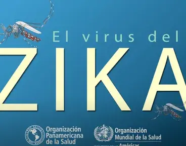 ../../todo-sobre-el-virus-del-zika