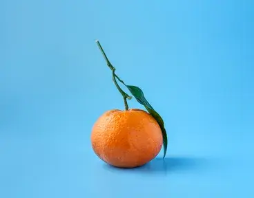 ../../propiedades-naranja